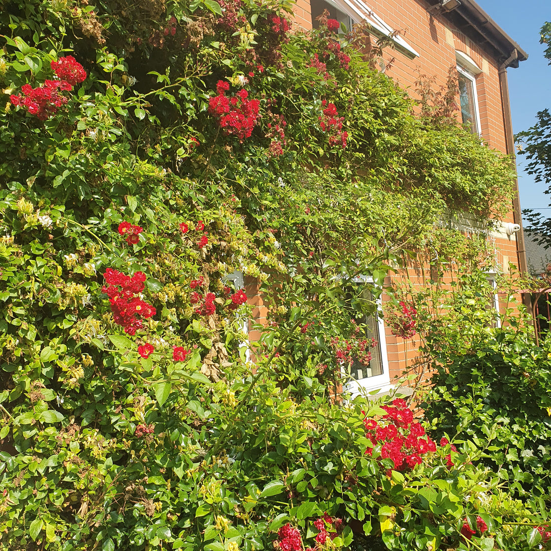 Kilns off and masks on!