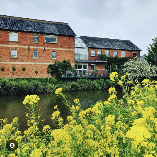 Signs of sun as we approach ten years in Langport