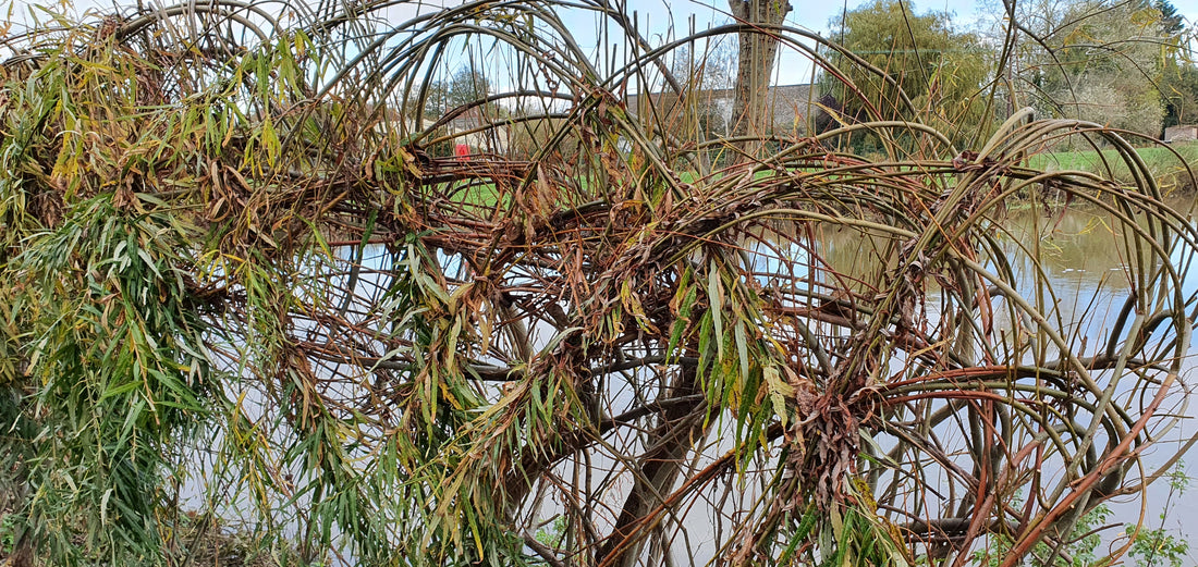 Being environmentally conscientious