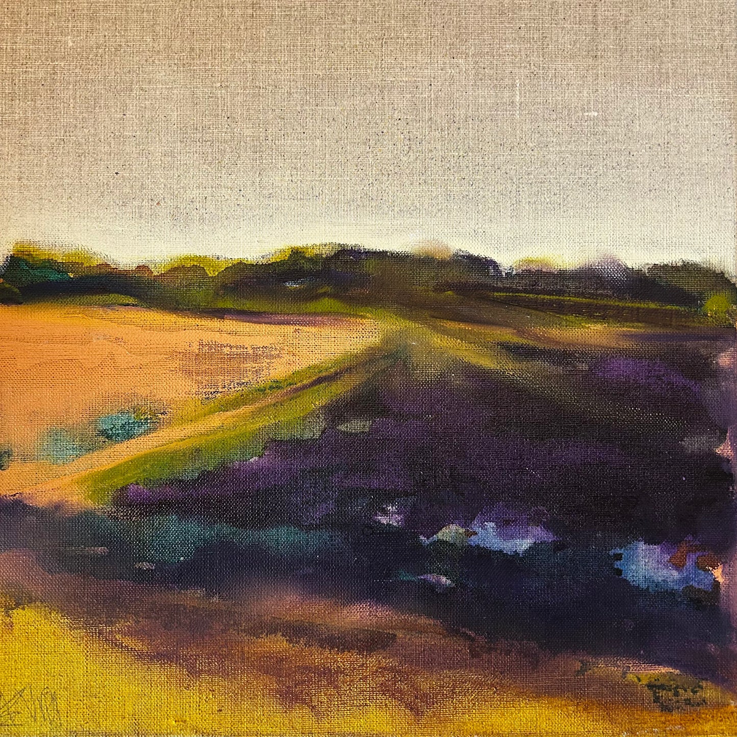 Angela Uren Quantock Heather