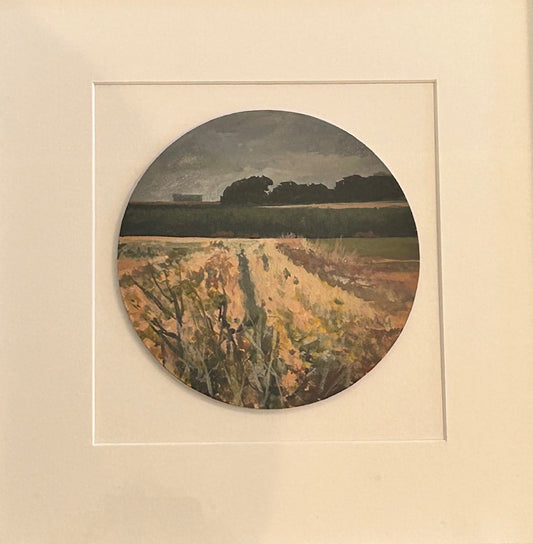 Jenny Graham Dark Sky, Holford