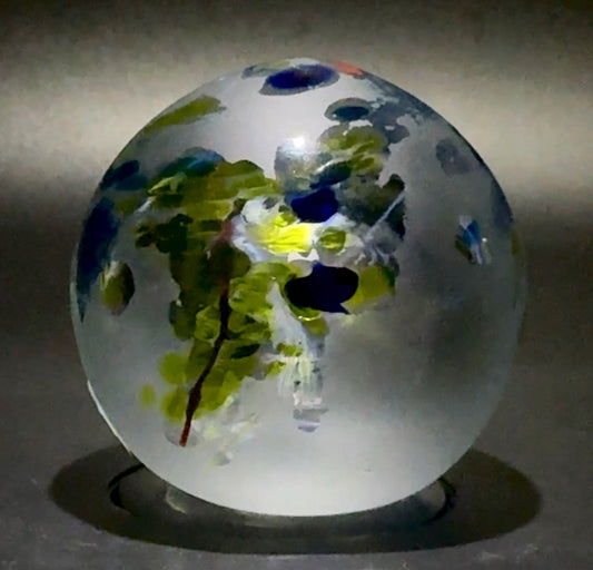 Seagrass Paperweight
