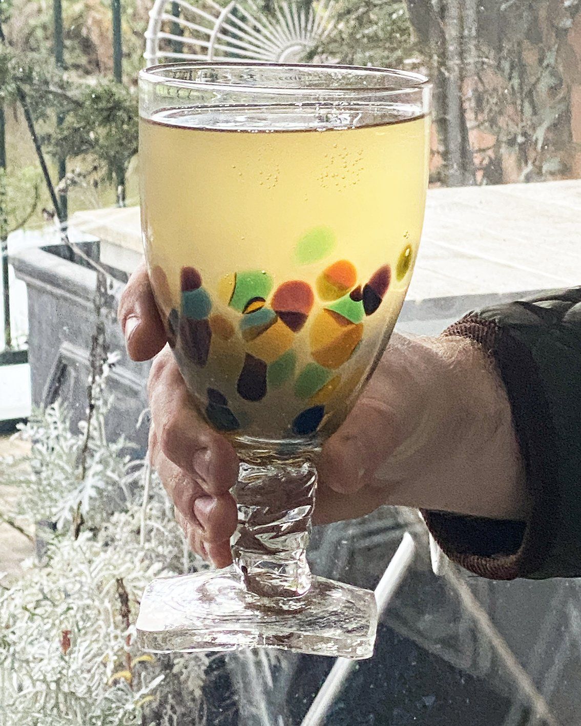 Cider Glasses