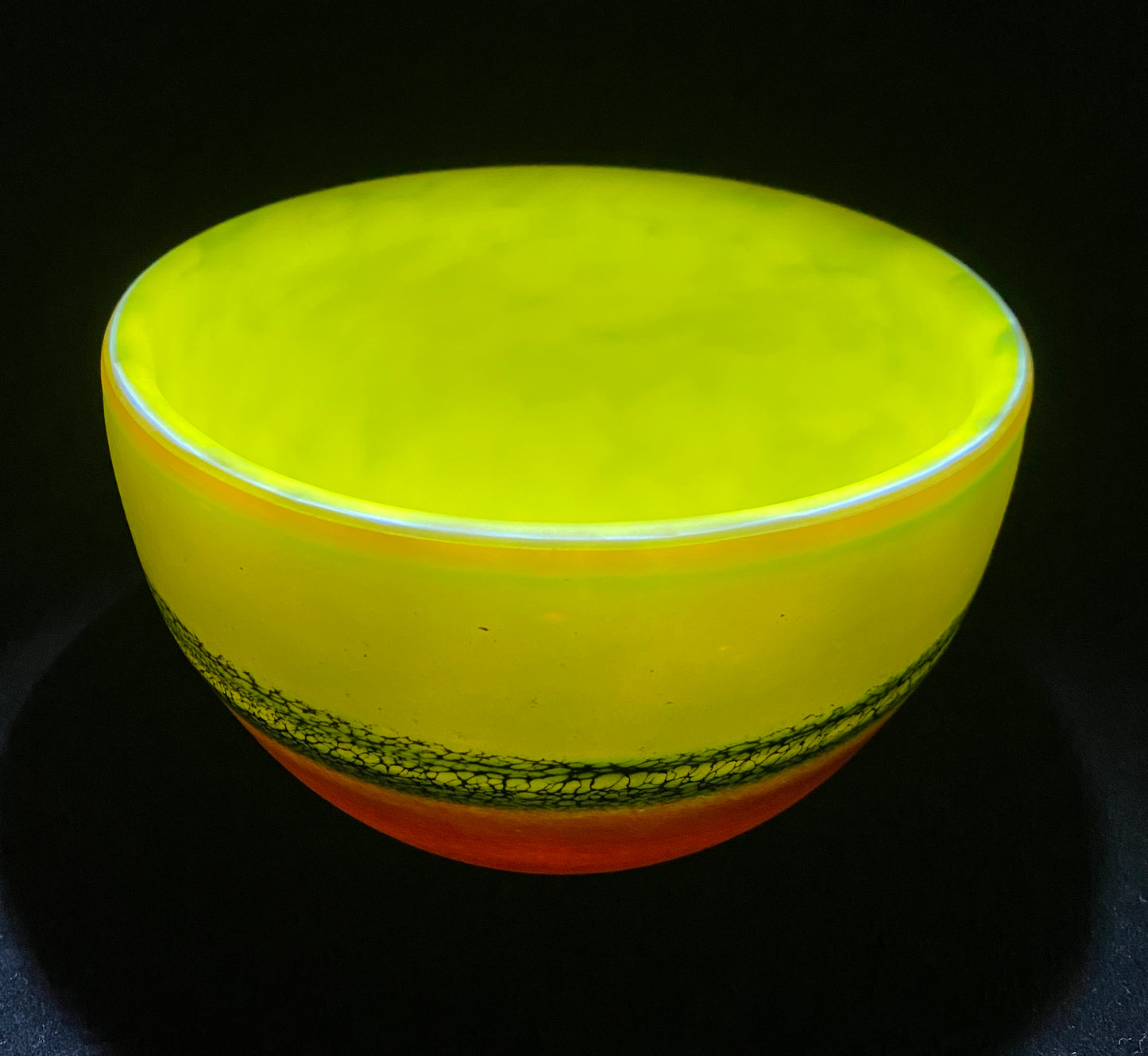 Bear Bowl #4