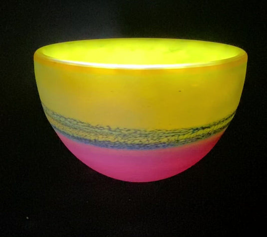 Bear Bowl #4