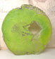 Tableaux Circle REDUCED