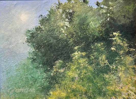 Jenny Graham Misty Morning