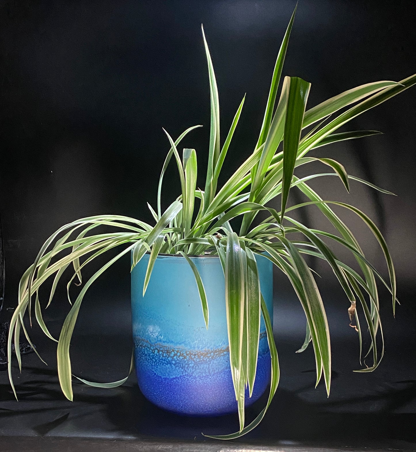 Coast Medium Planter