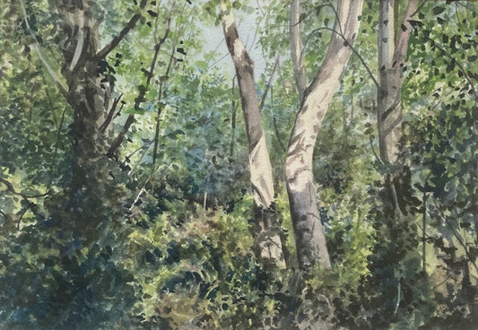 Jenny Graham Morning Light