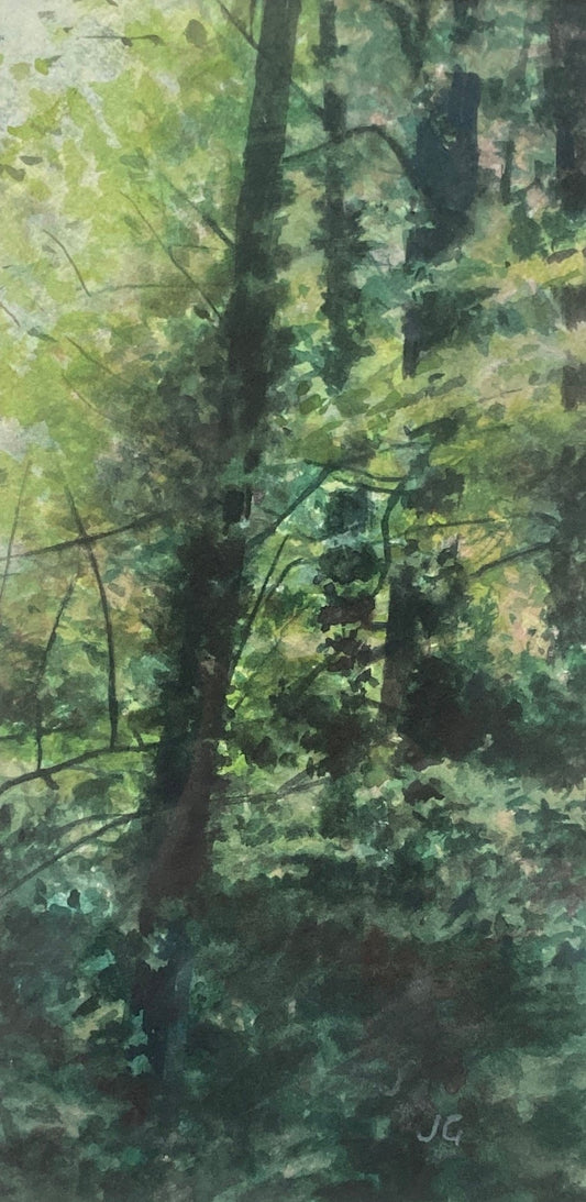 Jenny Graham Summer Woodland
